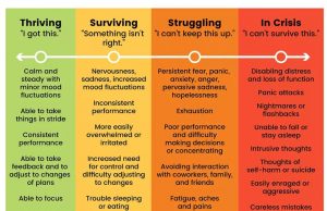 From Surviving To Thriving: How To Succeed In Online Learning