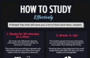 Study Techniques That Can Help You Maximize Your Study Time