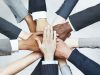 Collaboration And Cooperation: The Advantages Of Studying In A Group