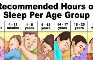The Science Of Sleep: How Proper Rest Drives Time Management Success