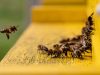 The Art Of Delegation: How To Empower Your Team And Save Time