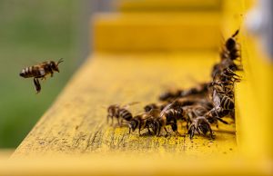 The Art Of Delegation: How To Empower Your Team And Save Time