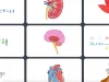 Mastering The Art Of Efficient Study: Active Recall Techniques Unveiled