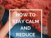 Study Stress Relief: Techniques To Stay Calm And Focused