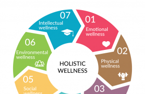 The Holistic Approach To Academic Success: Integrating Healthy Habits For Top Results