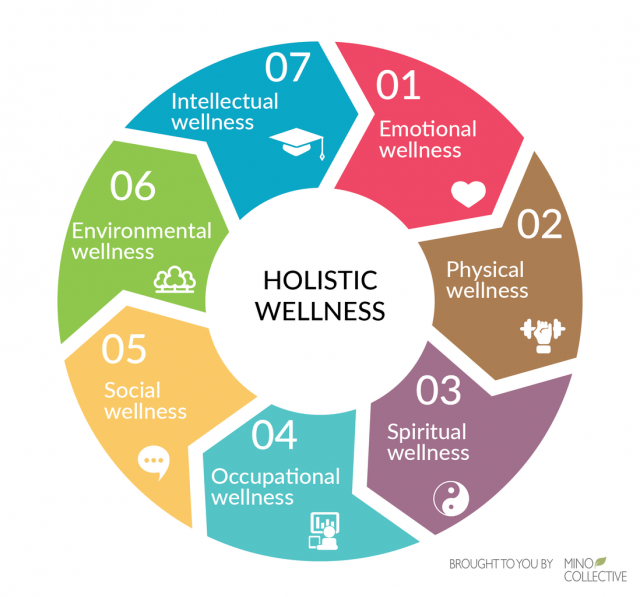 the-holistic-approach-to-academic-success-integrating-healthy-habits-for-top-results