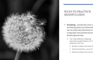 Boost Your Grades: The Power Of Mindfulness In Studying