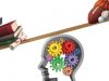 Balancing Academics And Exercise: Tips For Active Students