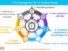 Time Management Techniques For Overwhelmed Students
