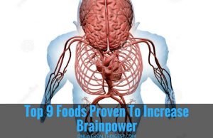 Fueling The Mind: Top Foods To Boost Brainpower And Exam Performance