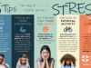From Stress To Success: A Student’s Guide To Mental Wellness During Exams