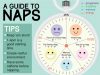 Power Naps For Memory Consolidation While Studying