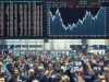 Meet the Market Players: Investors, Traders, Companies, and More Meet the Market Players