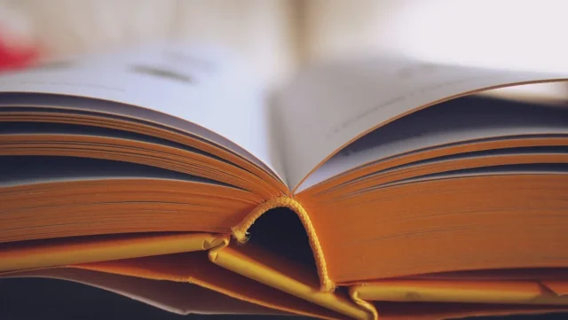 10 Best College Educations